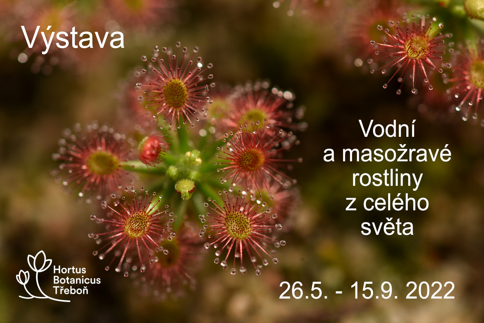 Vodní a masožravé rostliny z celého světa v akváriích 2022 Vodní a masožravé rostliny z celého světa v akváriích 2022