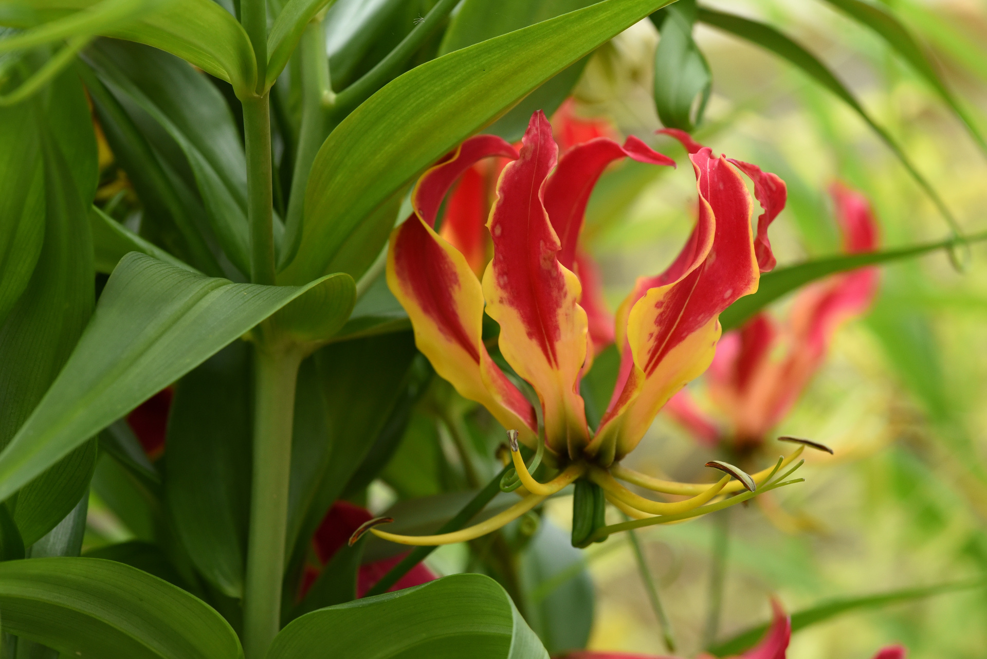 Výroční zpráva 2025 Výroční zpráva 2025