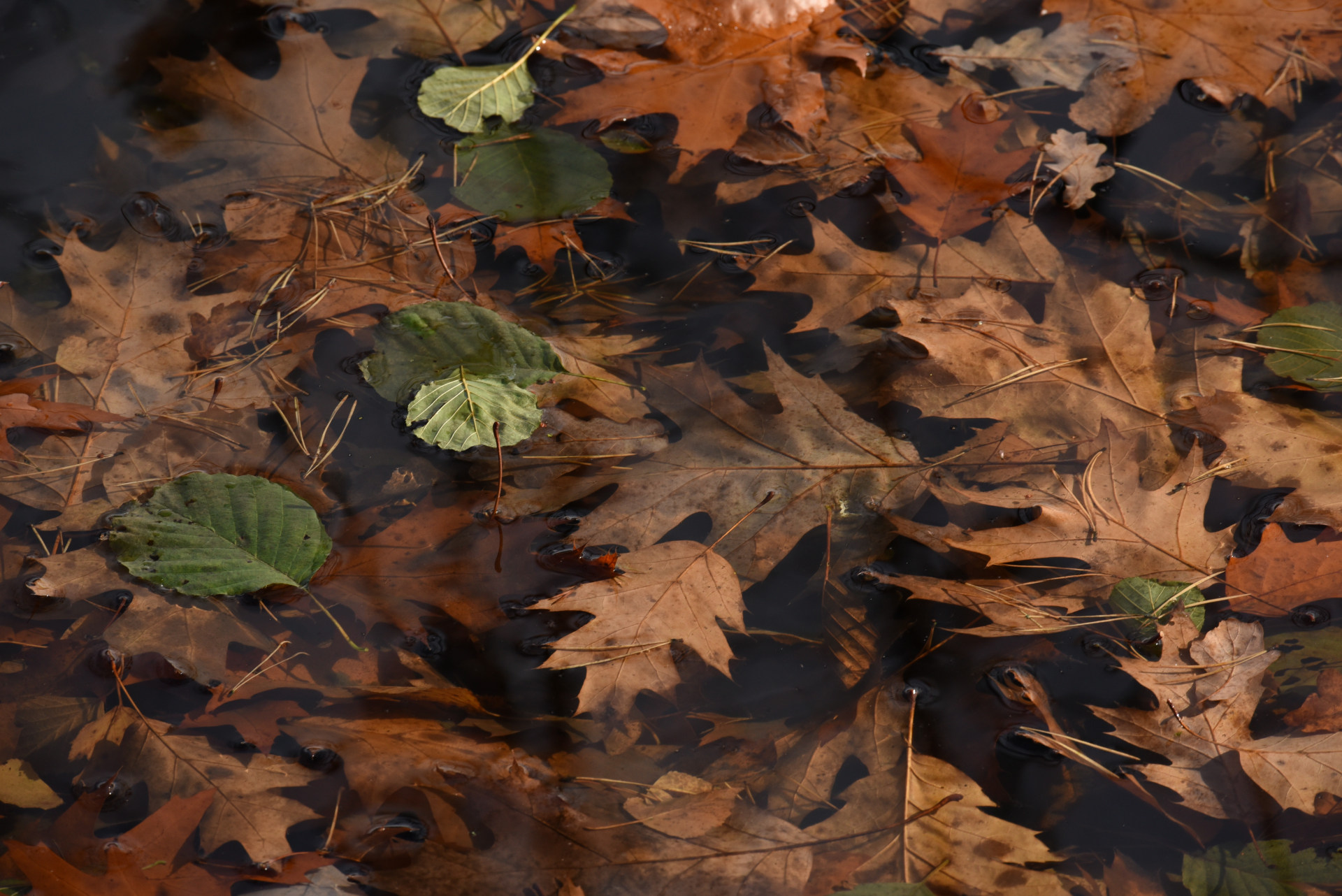 Ukončení návštěvnické sezóny 2025